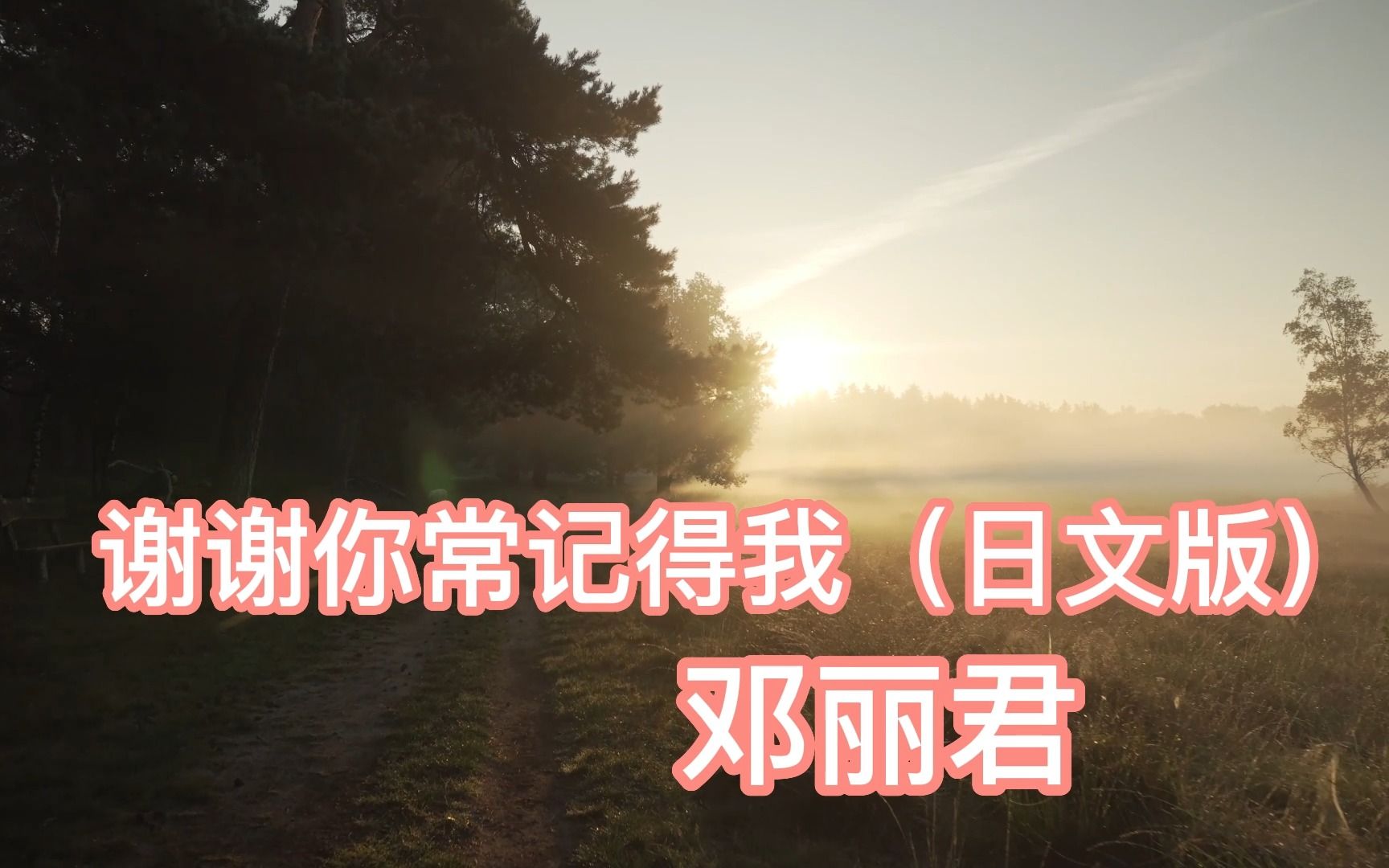 邓丽君经典老歌《神戸です》(谢谢你常记得我)日文
