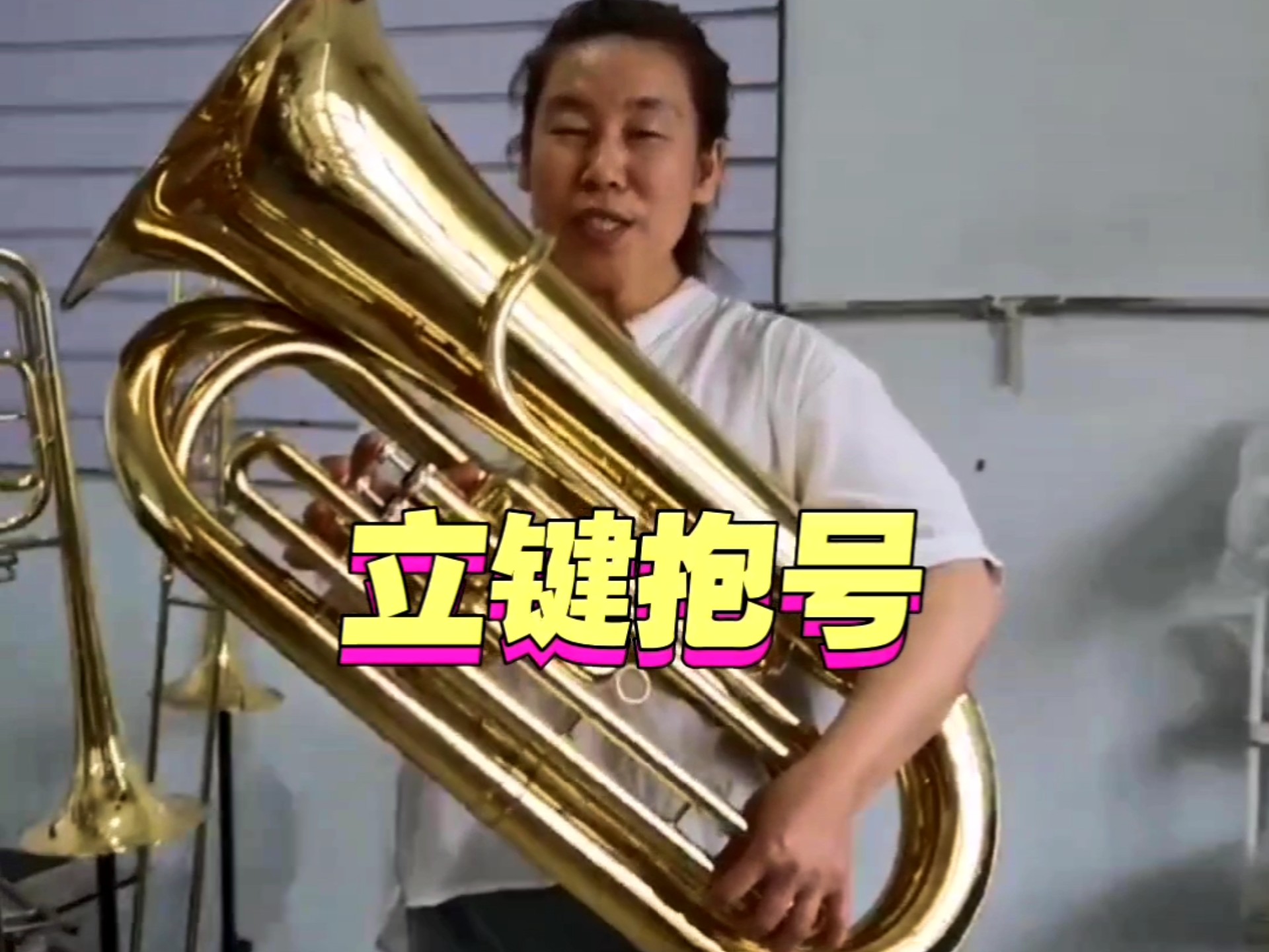 9成新的立键抱号一支 成色很好有轻微磕碰,音质音色不错 厂家直销西洋