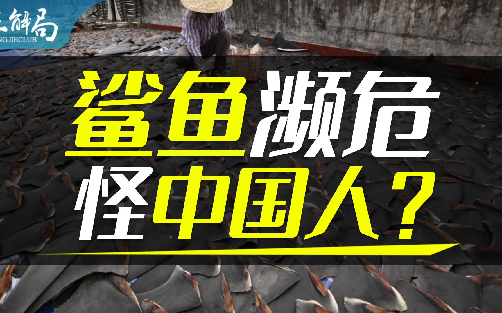 [图]【正解局】姚明的呼吁让中国人不吃鱼翅，但鲨鱼为何更濒危了？