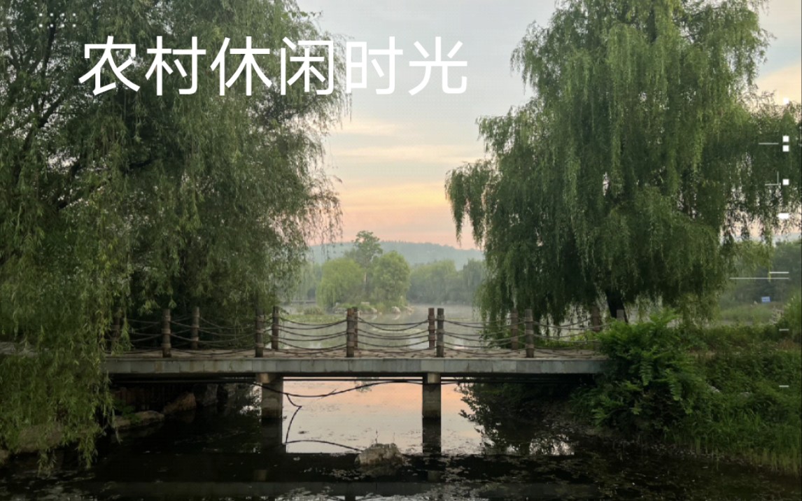记录农村一天的风景