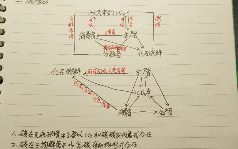 【生物必修三笔记】第五章生态系统及其稳定性 1—5节笔记+第六章 生态环境的保护(生态系统的结构 能量流动 物质循环 信息传递 稳定性)哔哩哔哩bilibili