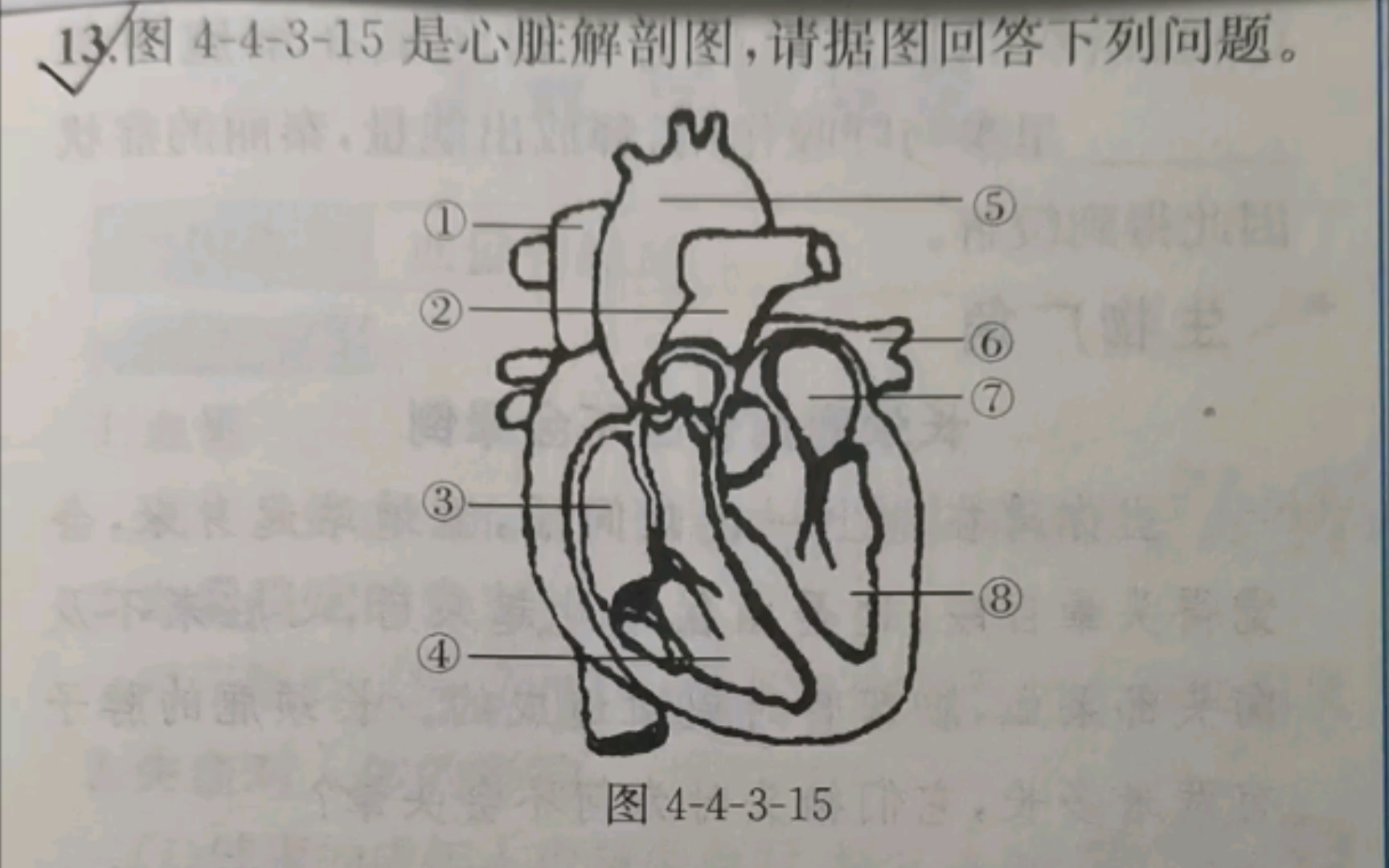 心脏四腔与血管血液的关系——体循环肺循环巧记哔哩哔哩bilibili