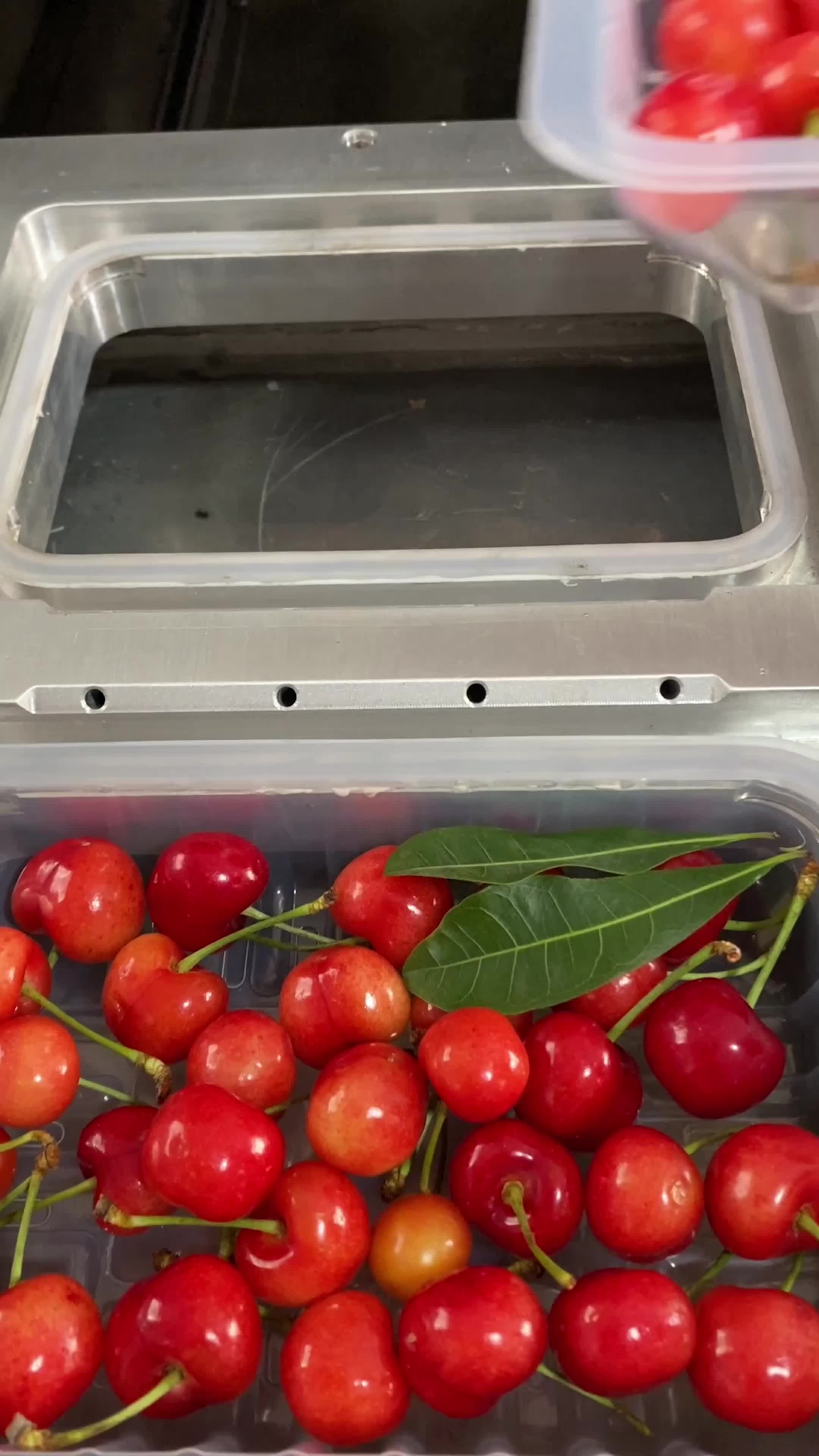 水果保鲜气调包装机