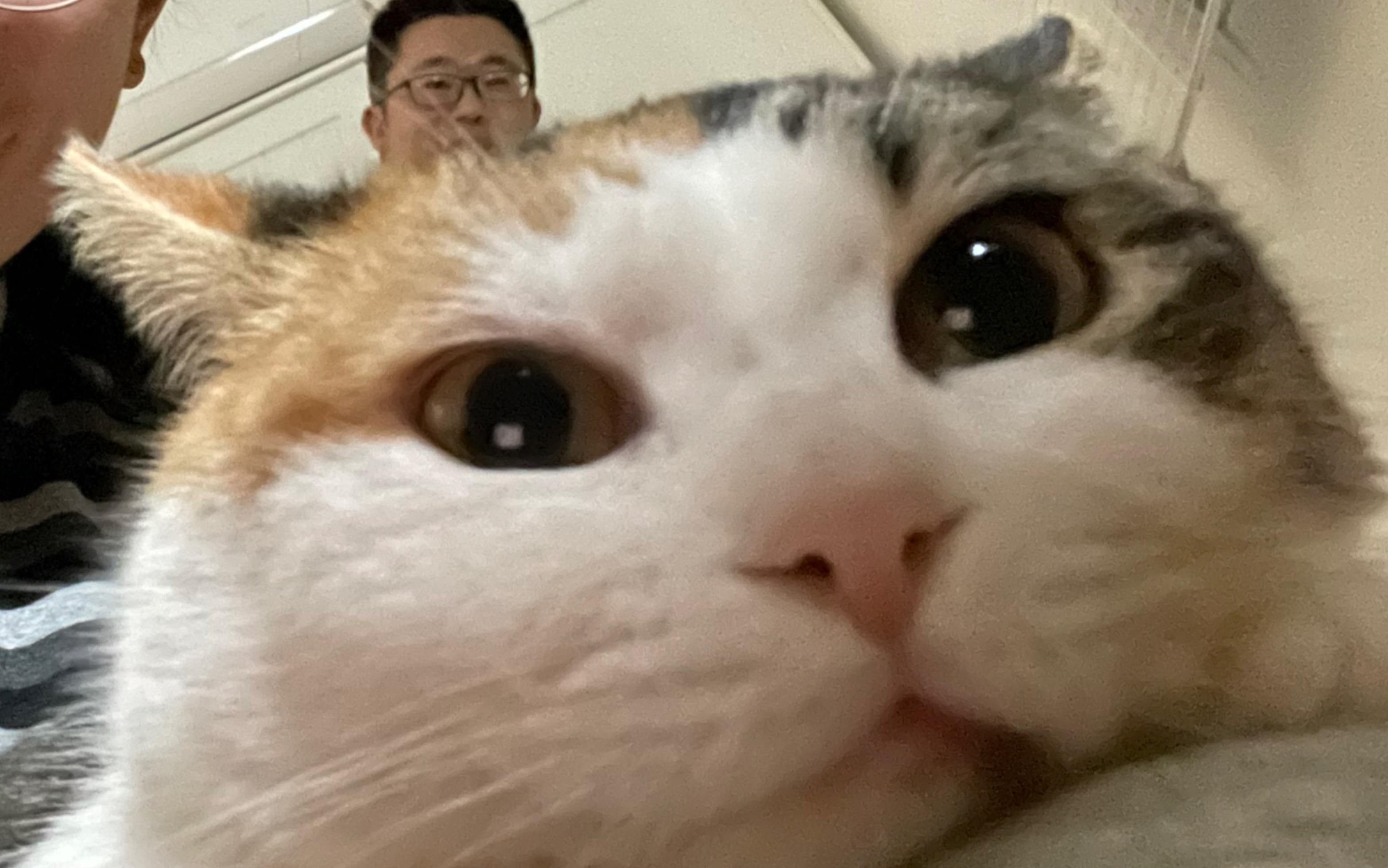 小狗咪:犬大概只是一种状态吧