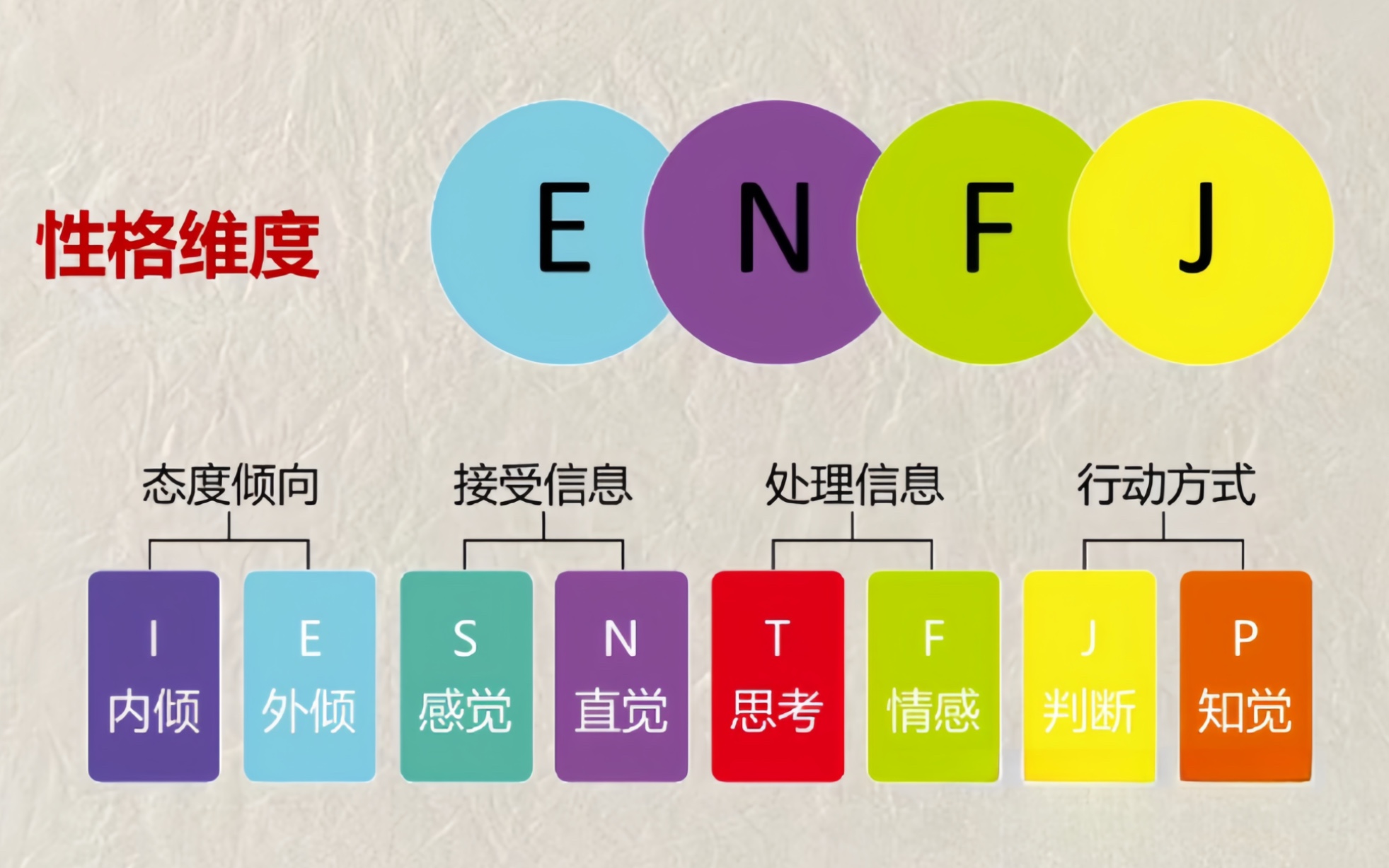 enfj 宝剑哥其实蛮热心肠的 大善人~#enfj #mbti #mbti人类图鉴 #mbti人格测试 #mbti职业性格测试哔哩哔哩bilibili