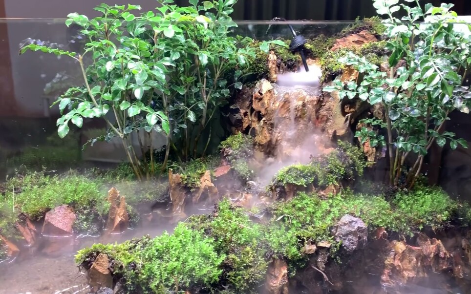 【水陆缸】雾化瀑布水陆缸第二弹-油管搬运_哔哩哔哩_bilibili