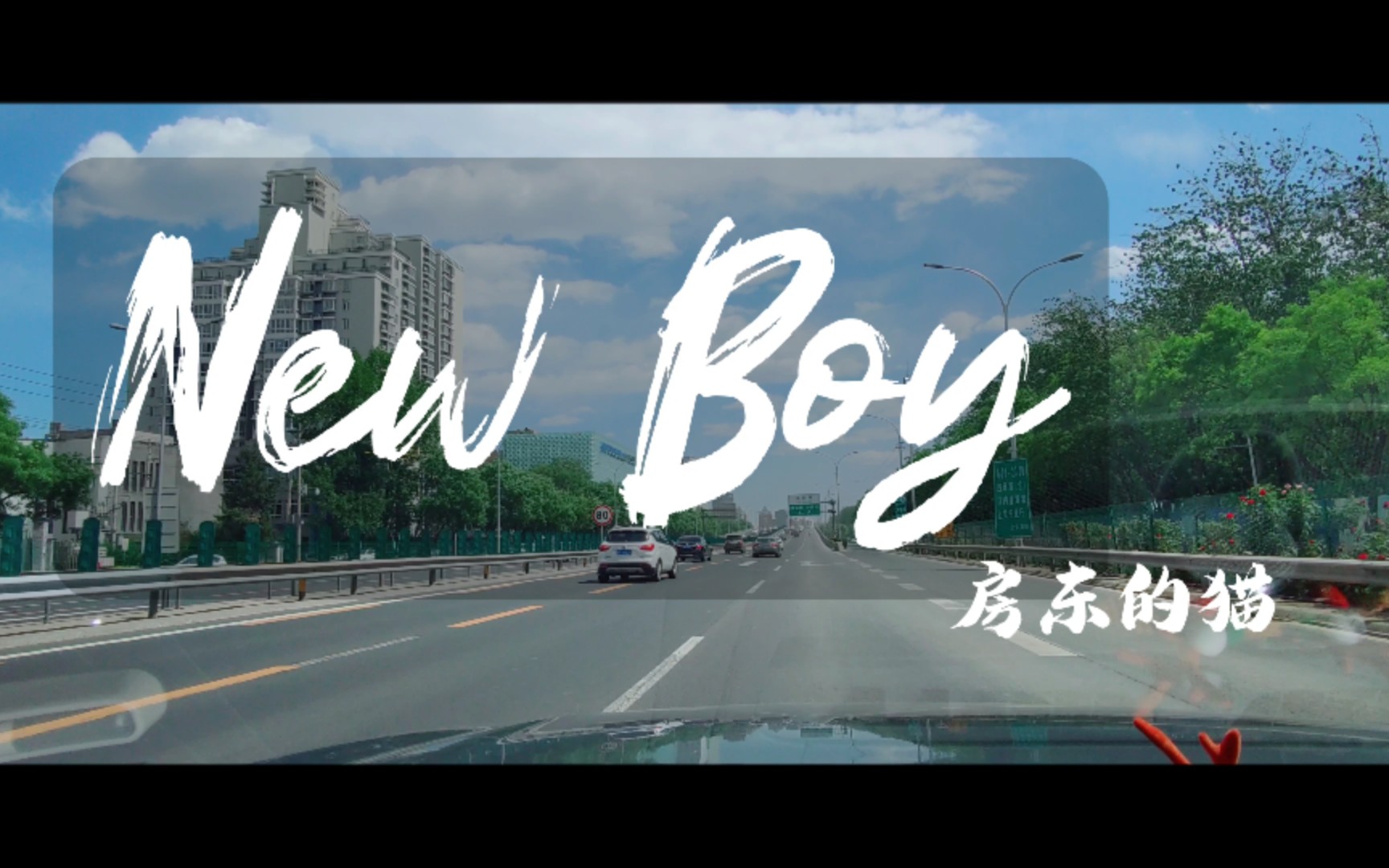 房东的猫 new boy壁纸图片