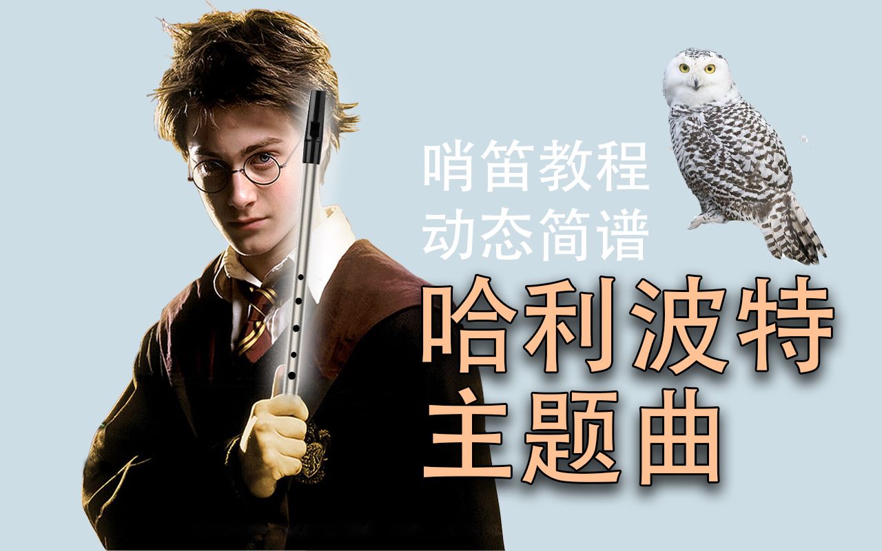 [图]【哨笛教程】哈利波特主题曲 海德威变奏曲 Hedwig's Theme Harry Potter 哨笛教程【熊猫教程】