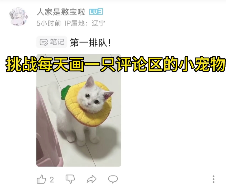 【每天画只小宠物】第48只小猫:菠萝猫哔哩哔哩bilibili