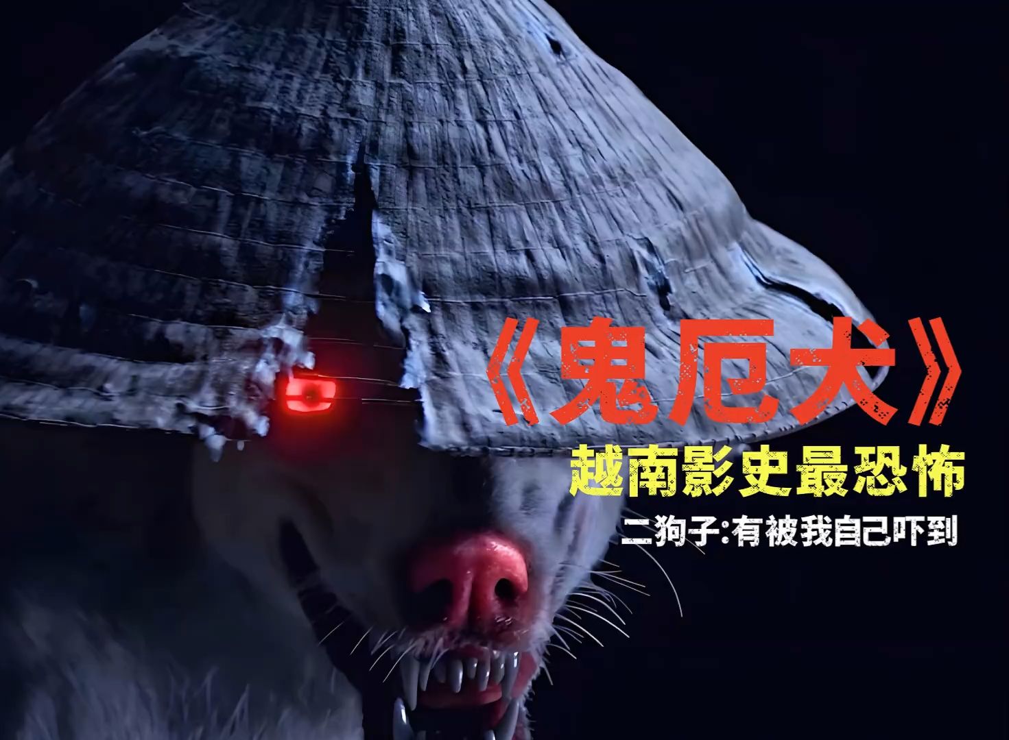 越南惊悚高分电影《鬼厄犬》高清完整版