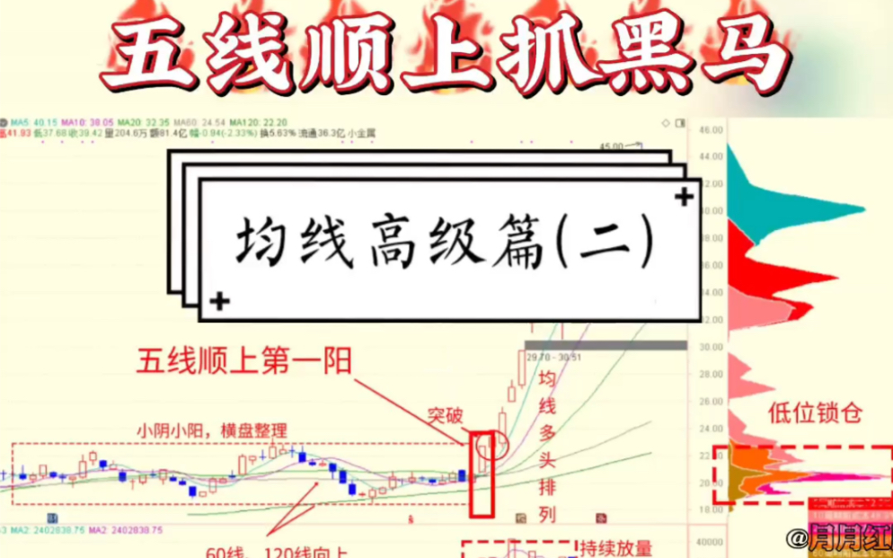 均线基础篇~五线顺上抓黑马哔哩哔哩bilibili