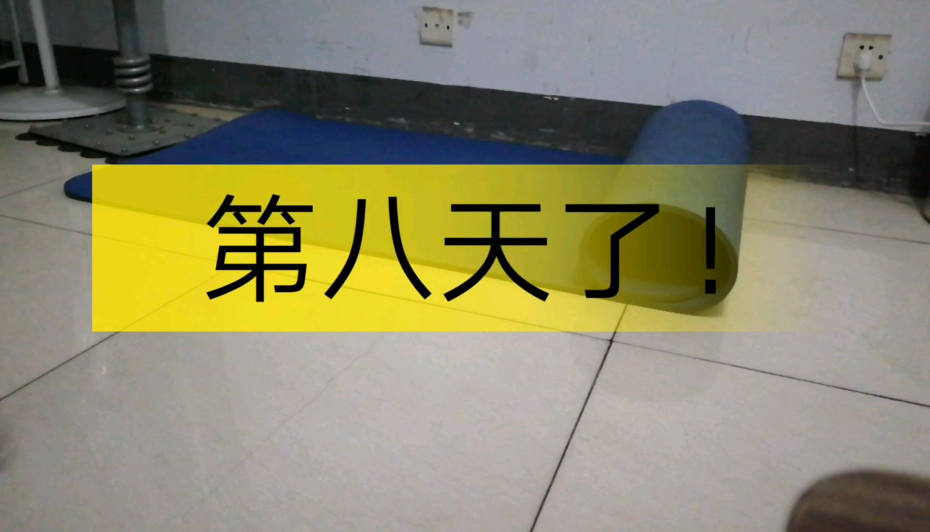 no8——俯卧撑打卡第八天