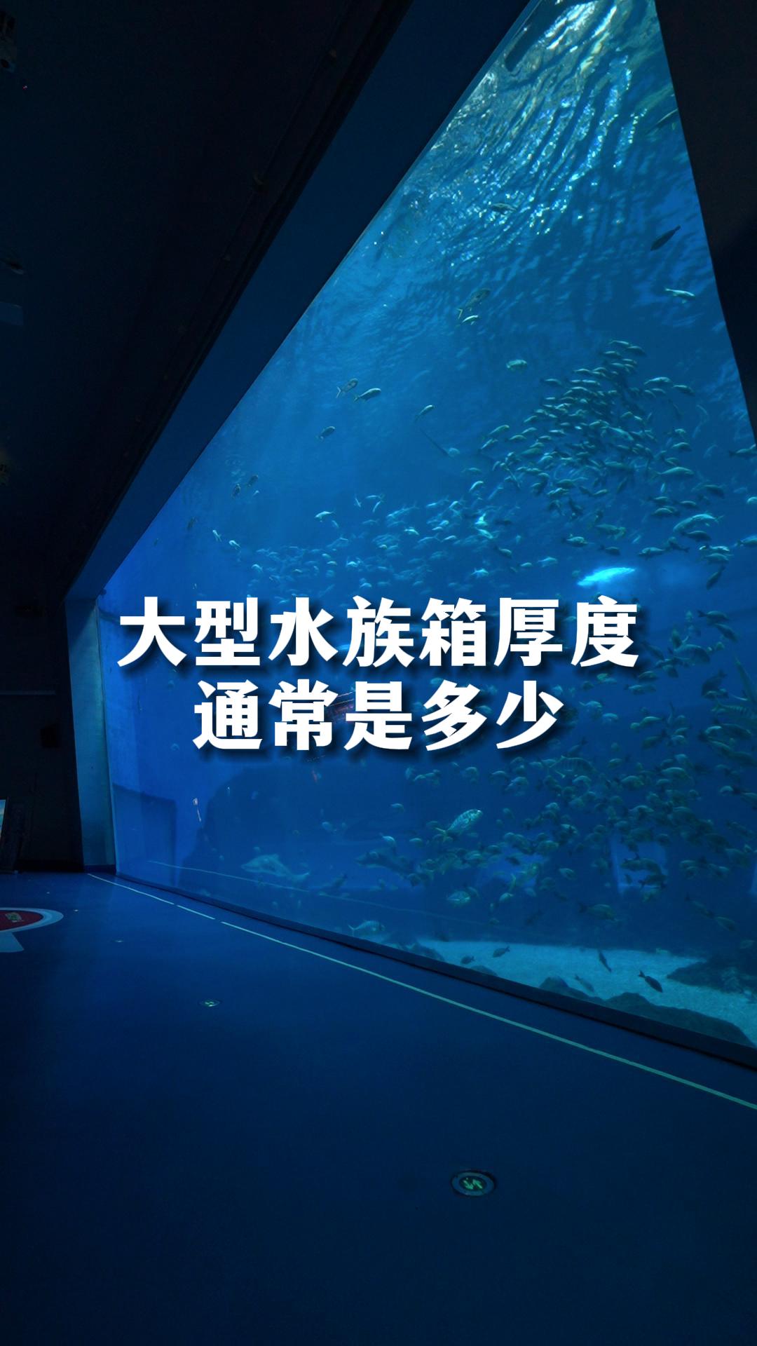 大型水族箱图片大全集图片