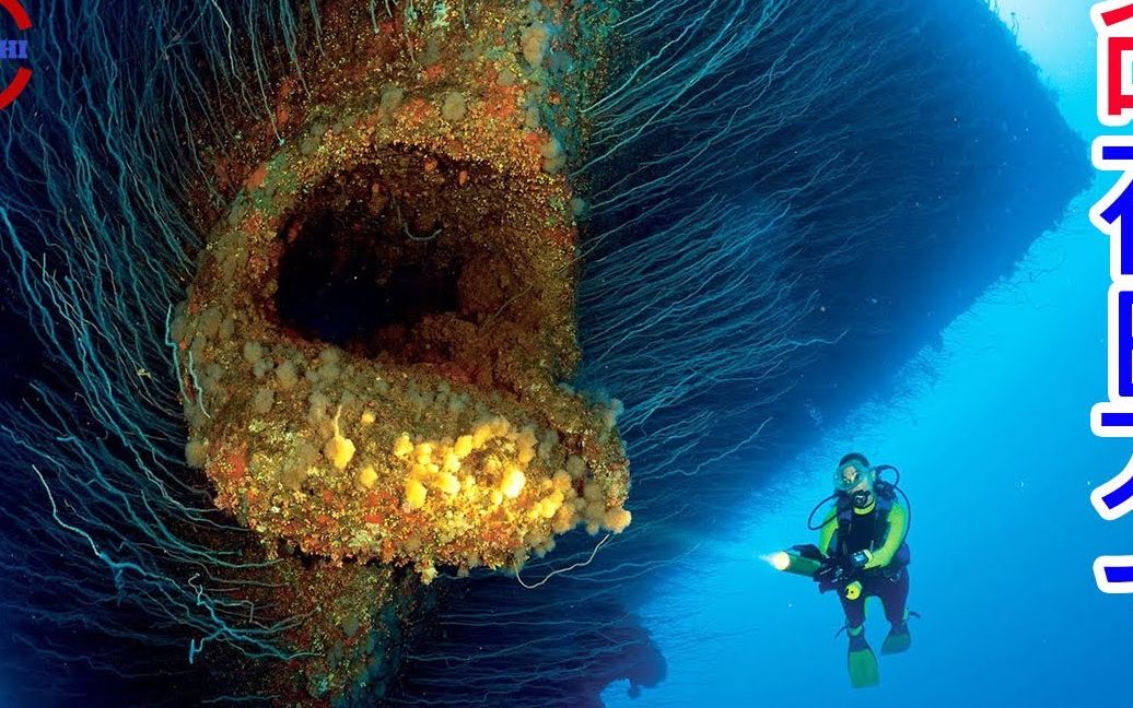 深海动物 恐惧图片