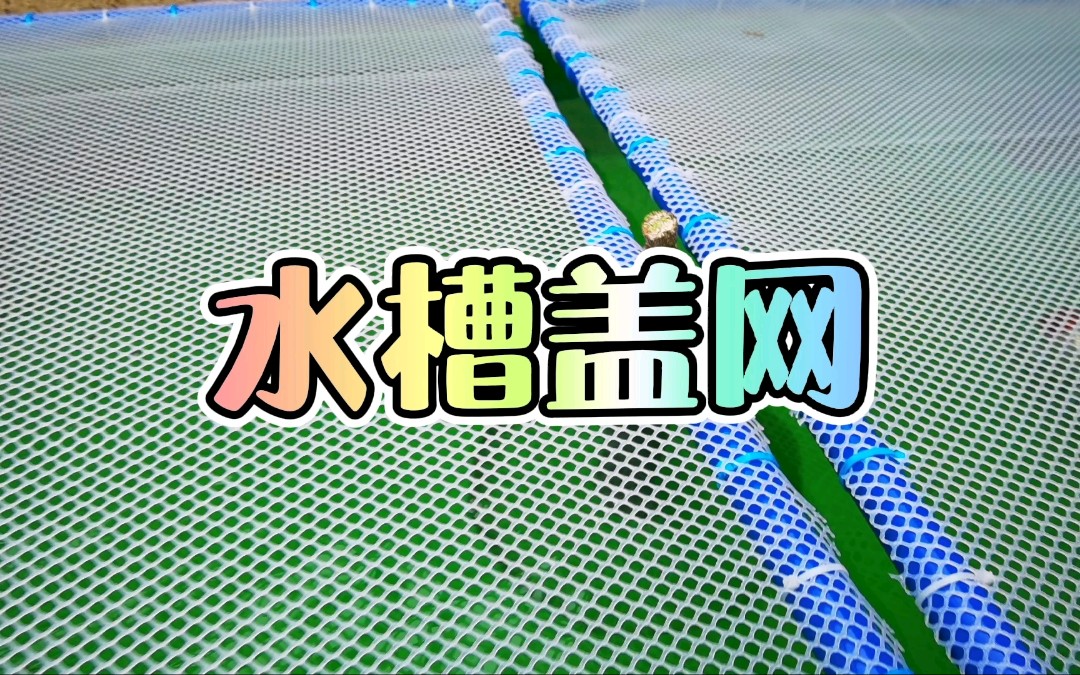 水槽手工盖网,野猫们已哭晕在厕所哔哩哔哩bilibili