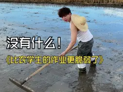 Download Video: 应该没有什么会比农学生的作业更脆弱了