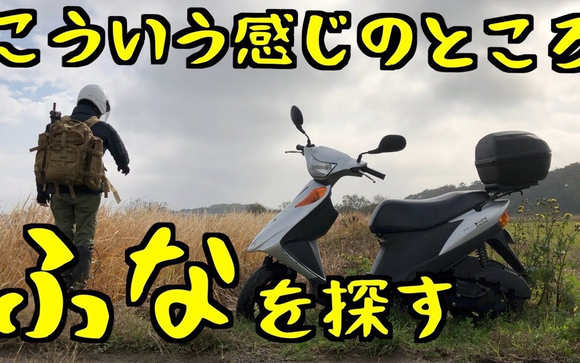 crucian carp fishing_哔哩哔哩_bilibili