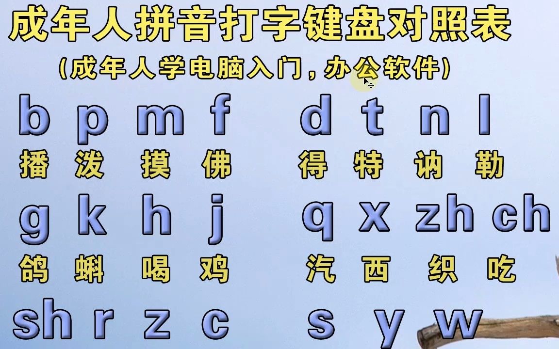 中老年成人自学拼音打字拼读教程正确的拼读微信聊天拼音打字快
