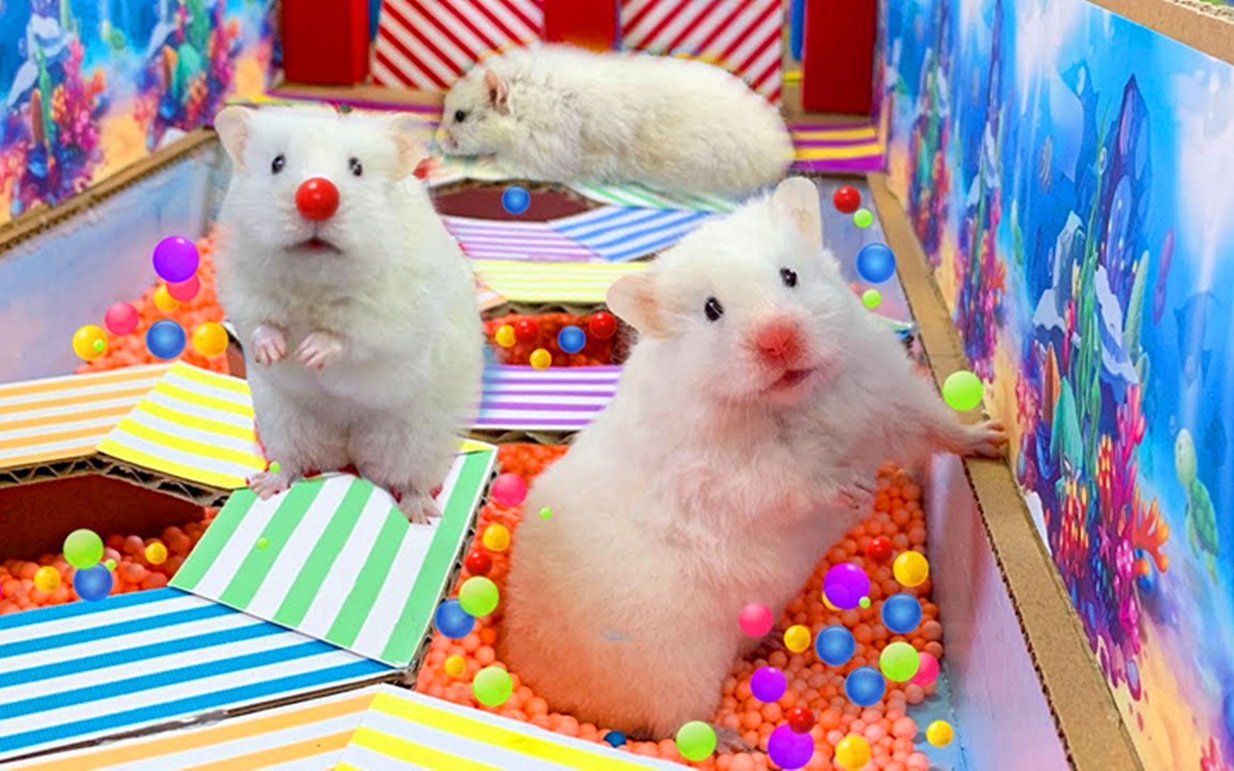 小仓鼠玩游戏:仓鼠被困在游乐场了,我们快来帮它找找出口吧!