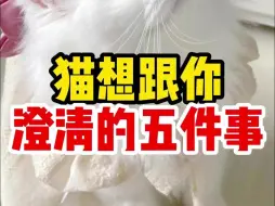 Descargar video: 看完泪目😭猫做梦都想澄清的六件事❗