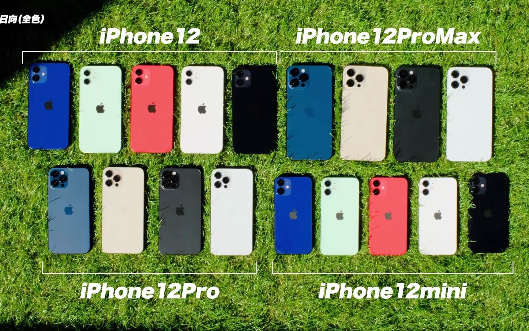 iphone12全机种全色系上手展示对比