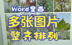 Download Video: WORD里多张图片到一页