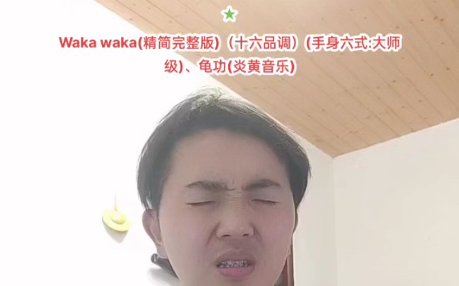 Waka waka(精简完整版)(十六品调)(手身六式:大师级)、龟功(炎黄音乐)哔哩哔哩bilibili