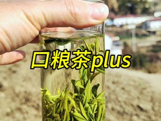 我家的桐城小花雨前茶,口粮茶plus,比谷雨茶多了一分鲜爽,多了一分回甘,喝起来更舒服哔哩哔哩bilibili