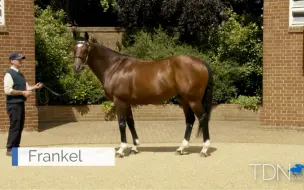 Télécharger la video: 世界马王范高尔（Frankel）：在种公马生涯也取得出色的成绩