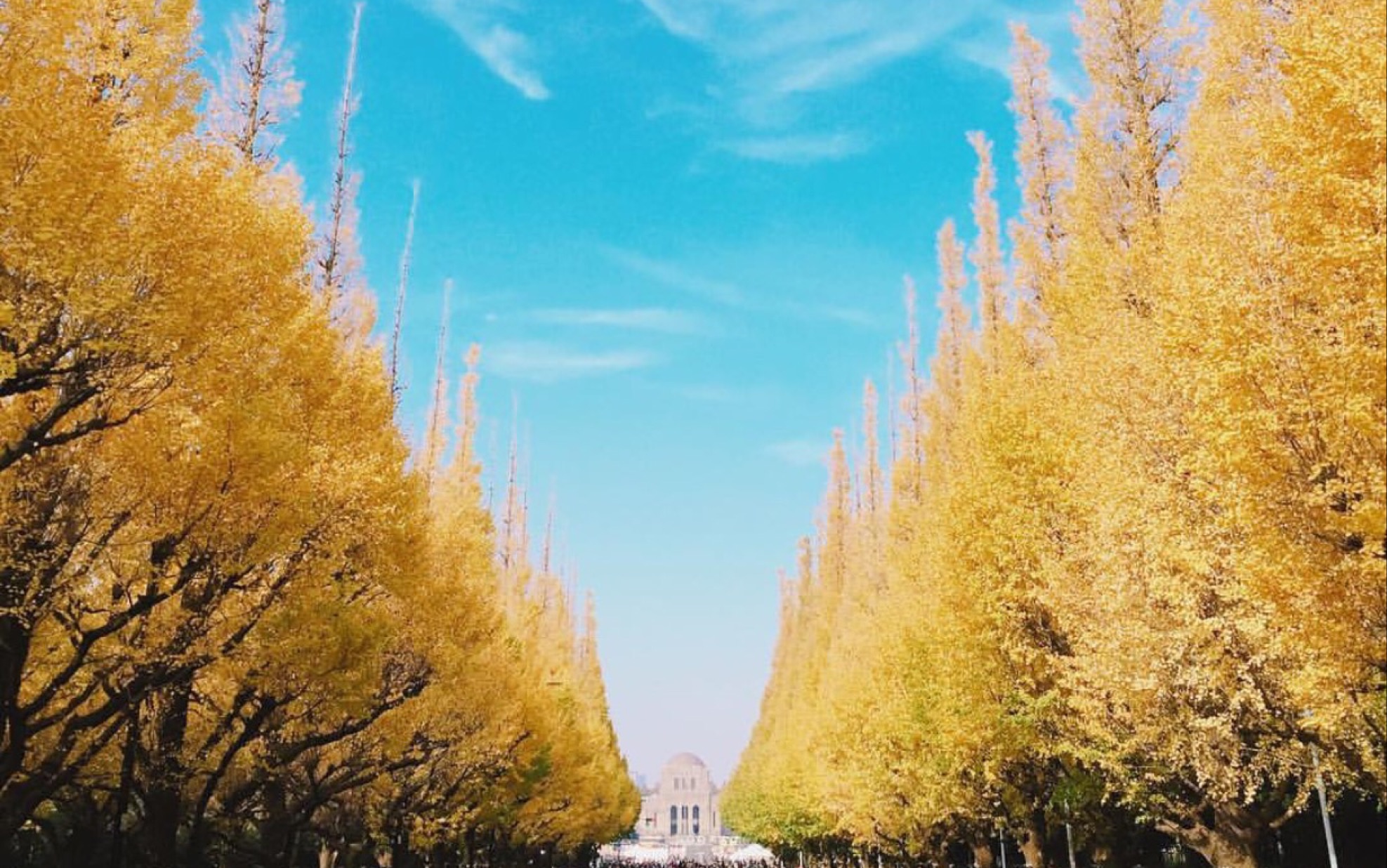 [图]【蒸汽波】 神 宮 外 苑