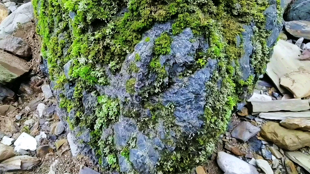 [图]大自然的风景无处不在