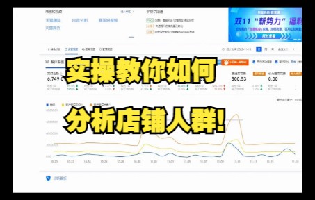 淘宝天猫运营干货实操教你店铺人群如何分析!哔哩哔哩bilibili