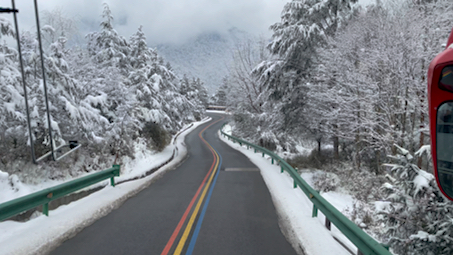 雅安市二郎山喇叭河景区下山雪景哔哩哔哩bilibili