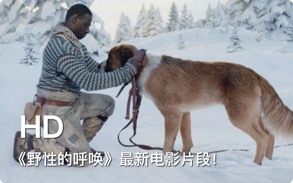 《野性的呼唤》最新电影片段!The Call of the Wild  New Lead Dog Clip哔哩哔哩bilibili