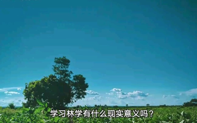 学习林学有什么现实意义吗?哔哩哔哩bilibili