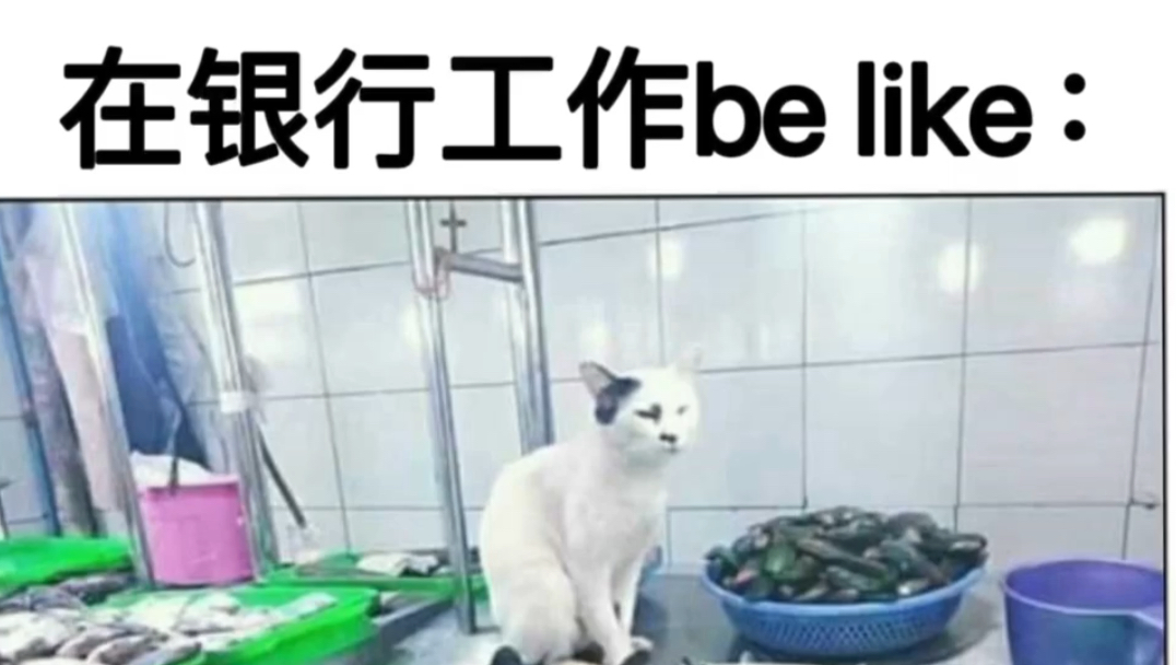 在银行工作be like:哔哩哔哩bilibili