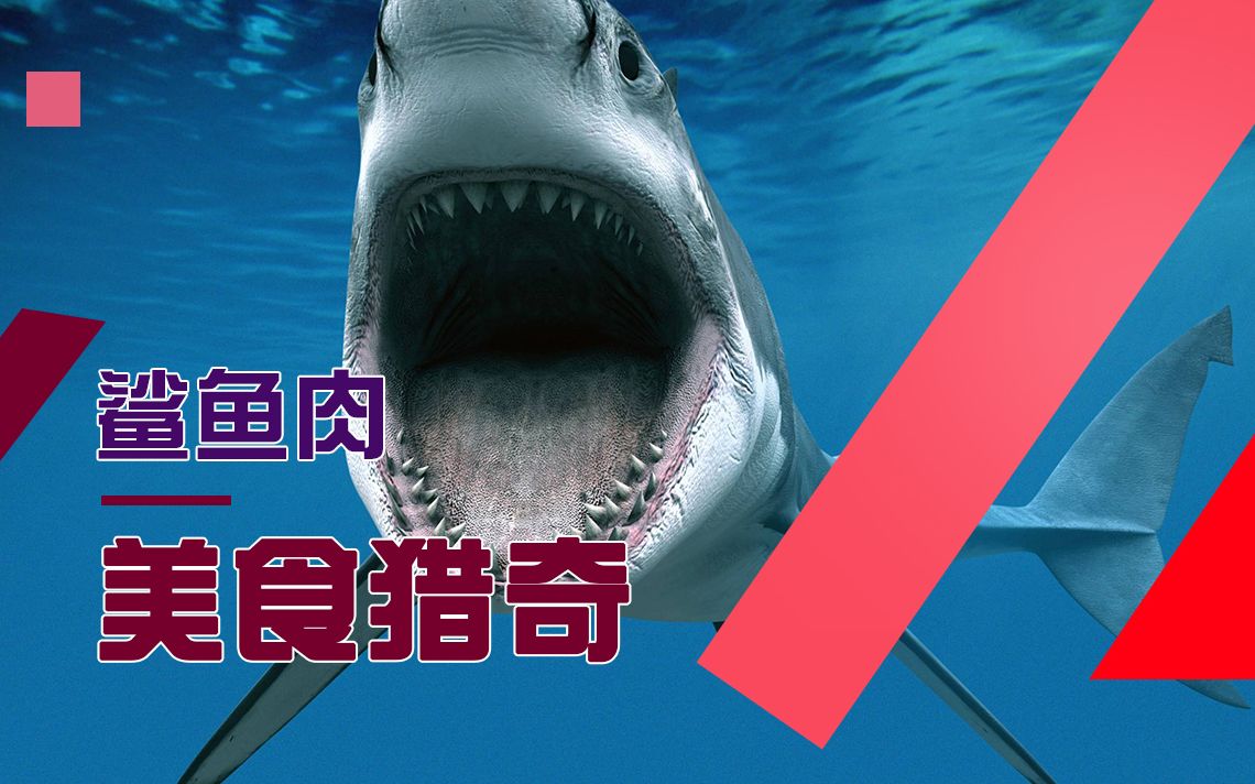 网络猎奇美食:鲨鱼肉吃过没?