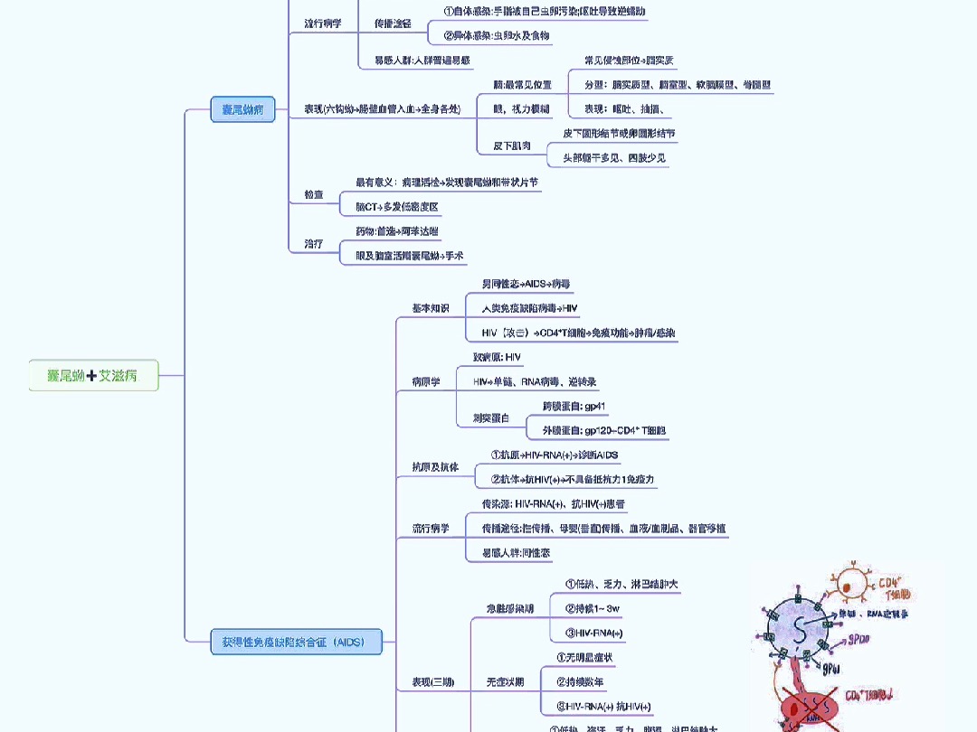 传染性疾病艾滋病+囊尾蚴病(思维导图知识卡片)哔哩哔哩bilibili