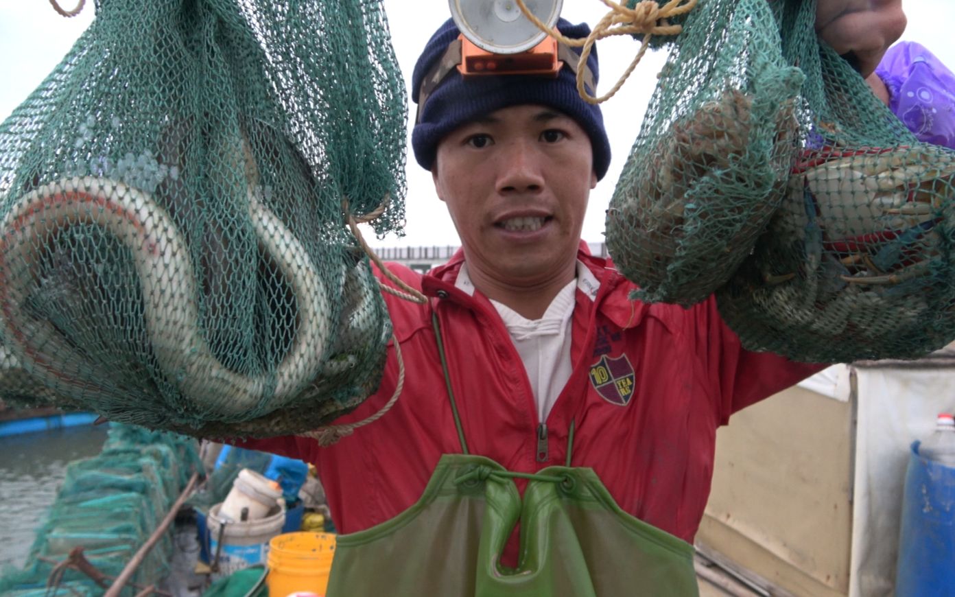 小池凌晨3点赶海运气大爆连续抓到值钱海鳝和大螃蟹赚500多块