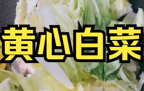 【白菜烹饪】云南高原黄心白菜,比东北大白菜甜一些,心是黄色的,因此得名!快来看吧哔哩哔哩bilibili