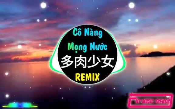 赵芷彤多肉少女dj抖音版