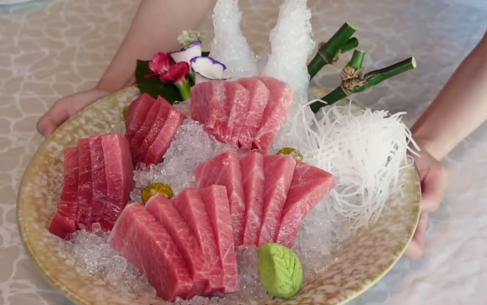 号称鱼中爱马仕的蓝鳍吞拿鱼,全球只剩不到一万条,吃一口破千元