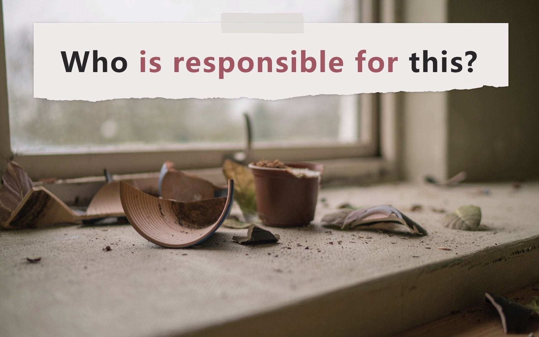 respond, response, responsible, responsibility  高中英语 2019 新人教版 必修一 Unit1单词讲解哔哩哔哩bilibili