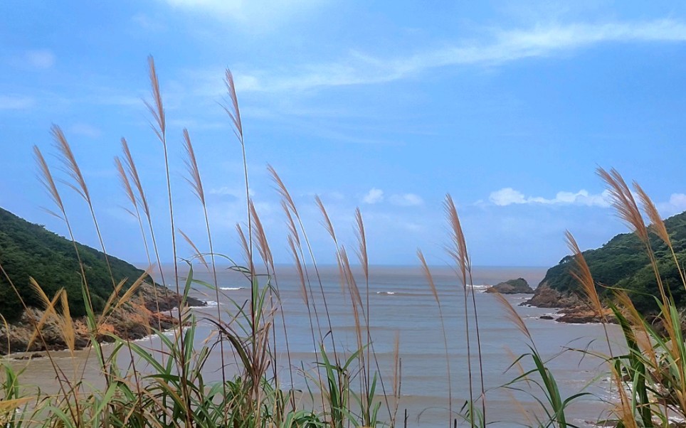来吹吹夏日的海风吧