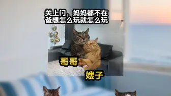 《神月偏爱》第二集