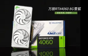 下载视频: 狐影疾速，新静界 | Manli万丽 GeForce RTX4060 8G 雪狐来啦！