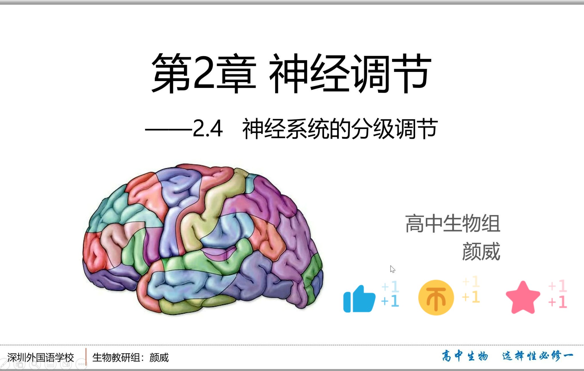 [图]【人教社高中生物选择性必修一】2.4神经系统的分级调节