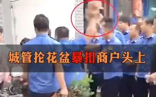 Download Video: 河北城管与商户起冲突用花盆猛扣商户头 涉事人员已被停职