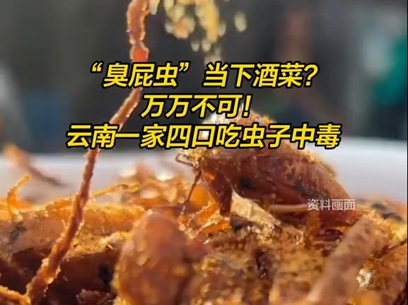 “臭屁虫”当下酒菜?万万不可!哔哩哔哩bilibili