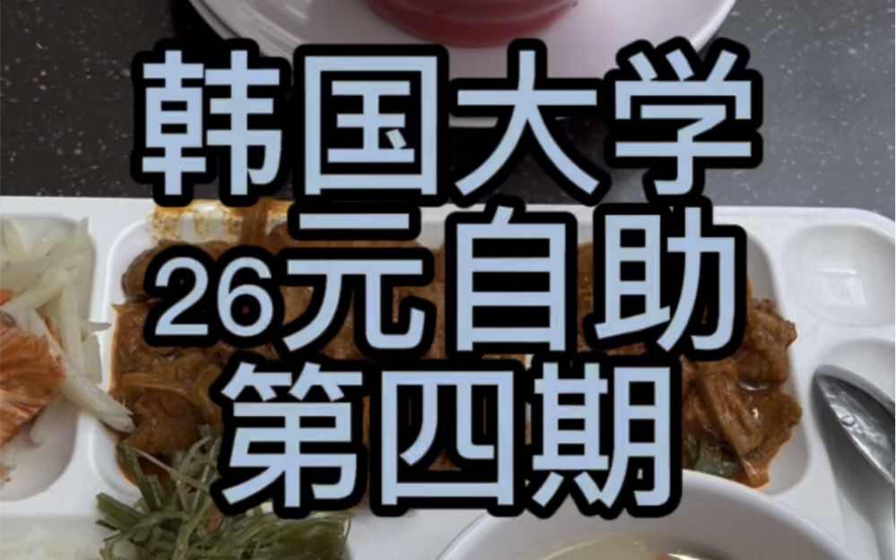 韩国大学食堂自助,今天薅资本主义羊毛!哔哩哔哩bilibili